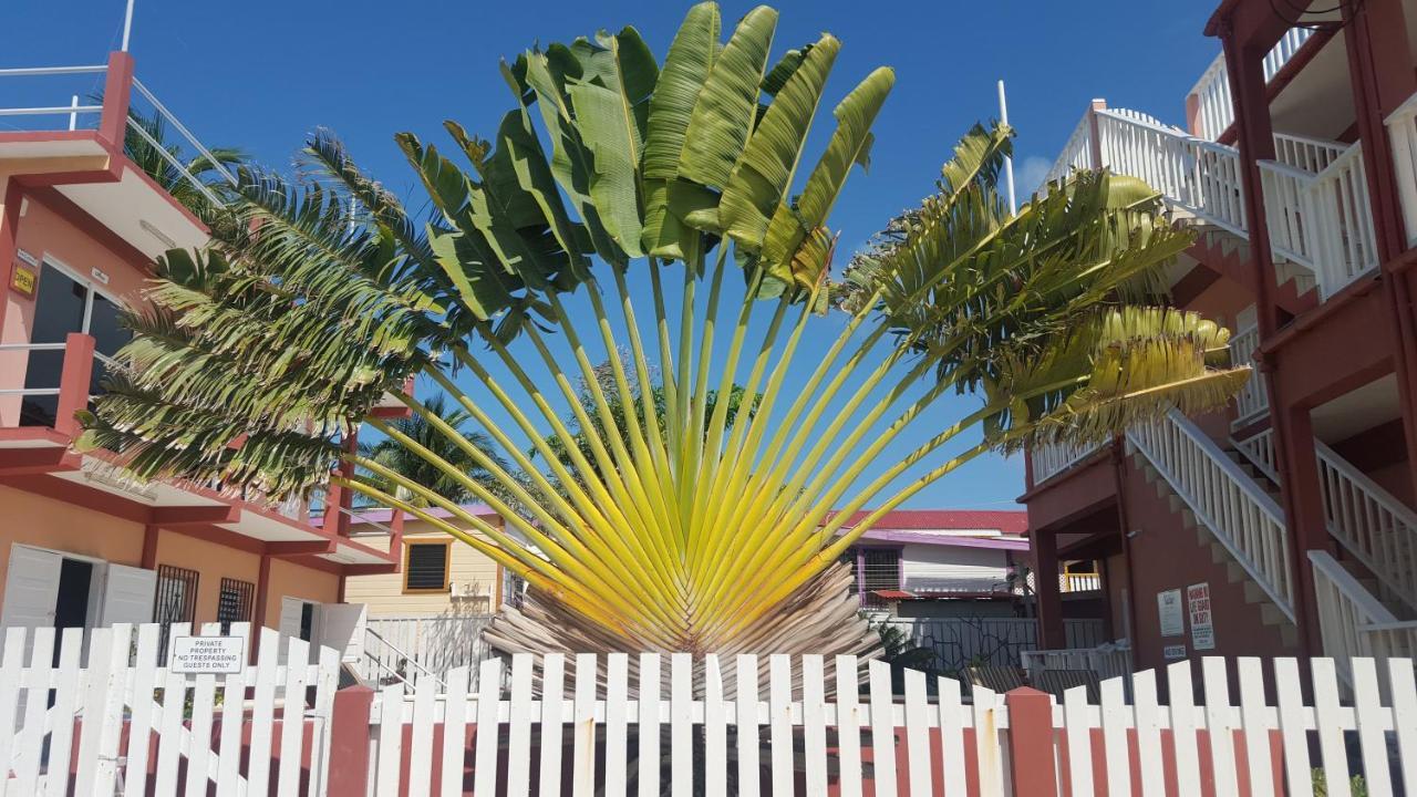 Caye Caulker Condos エクステリア 写真